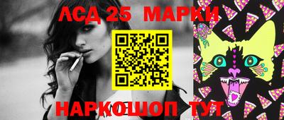 прущие грибы Кандалакша