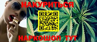 прущие грибы Кандалакша