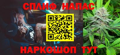 прущие грибы Кандалакша