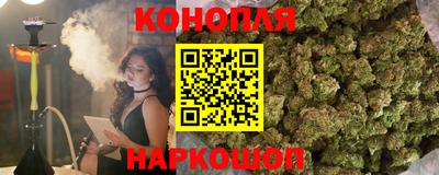 прущие грибы Кандалакша