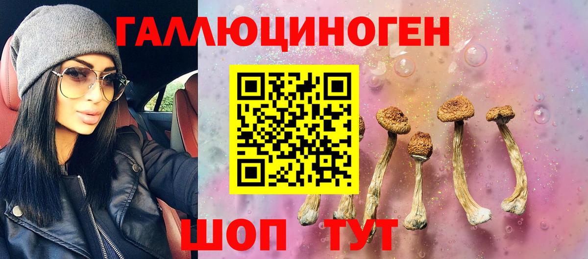 Псилоцибиновые грибы Psilocybine cubensis Ленинск-Кузнецкий